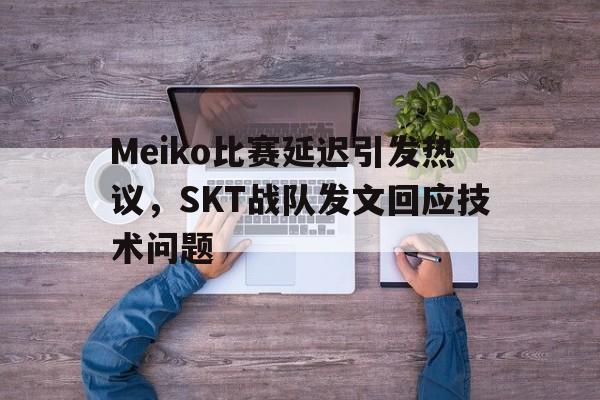 Meiko比赛延迟引发热议，SKT战队发文回应技术问题-在线娱乐