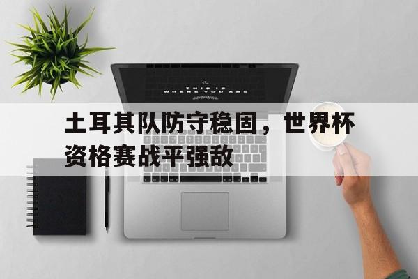 土耳其队防守稳固，世界杯资格赛战平强敌-Pinnacle APP