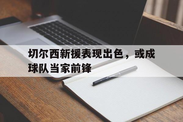 切尔西新援表现出色，或成球队当家前锋-Pinnacle APP